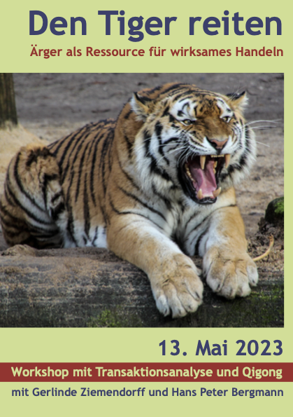 Info-Flyer "Den Tiger reiten"